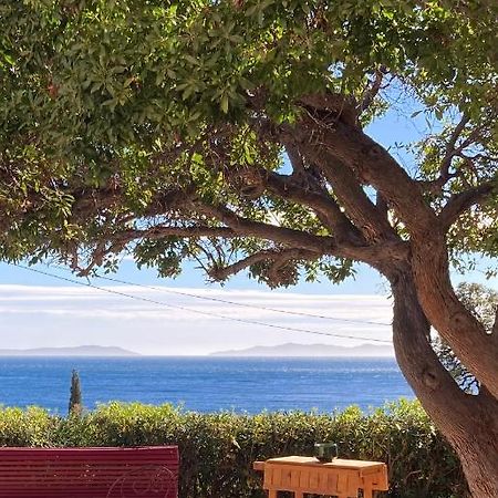 L'Arbousier Bed & Breakfast Rayol-Canadel-sur-Mer Bagian luar foto
