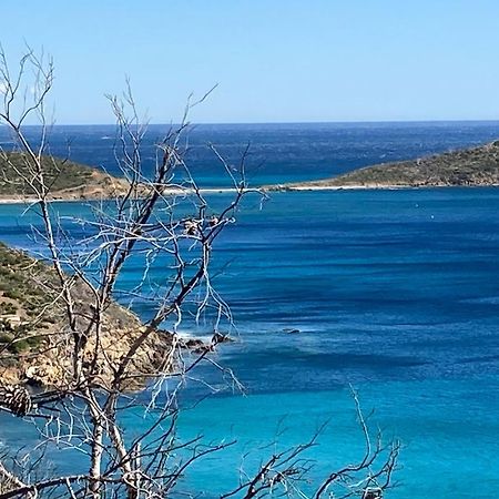 L'Arbousier Bed & Breakfast Rayol-Canadel-sur-Mer Bagian luar foto