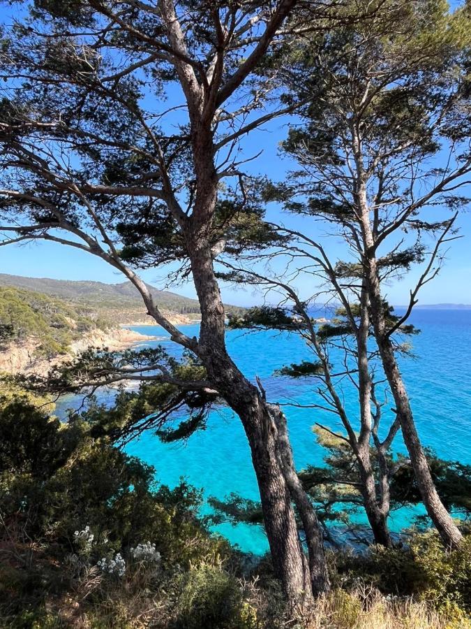 L'Arbousier Bed & Breakfast Rayol-Canadel-sur-Mer Bagian luar foto