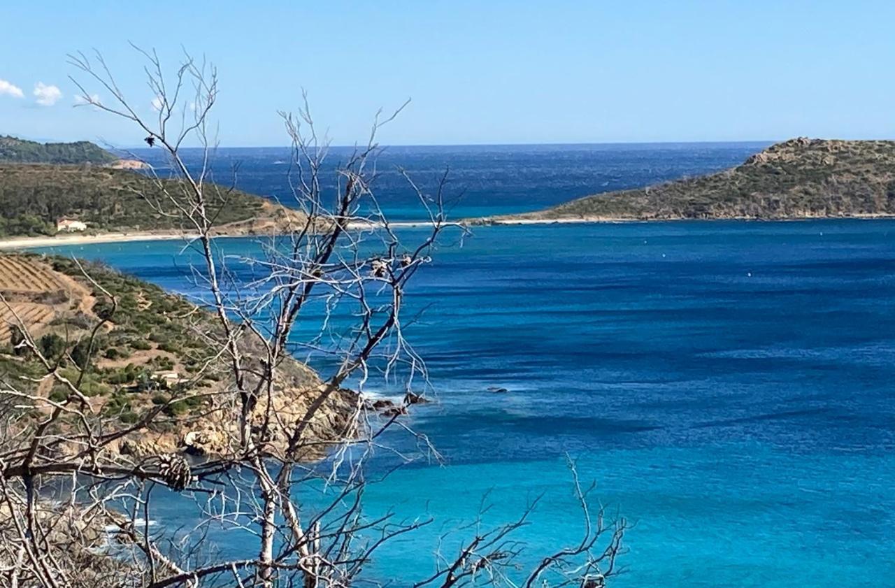 L'Arbousier Bed & Breakfast Rayol-Canadel-sur-Mer Bagian luar foto