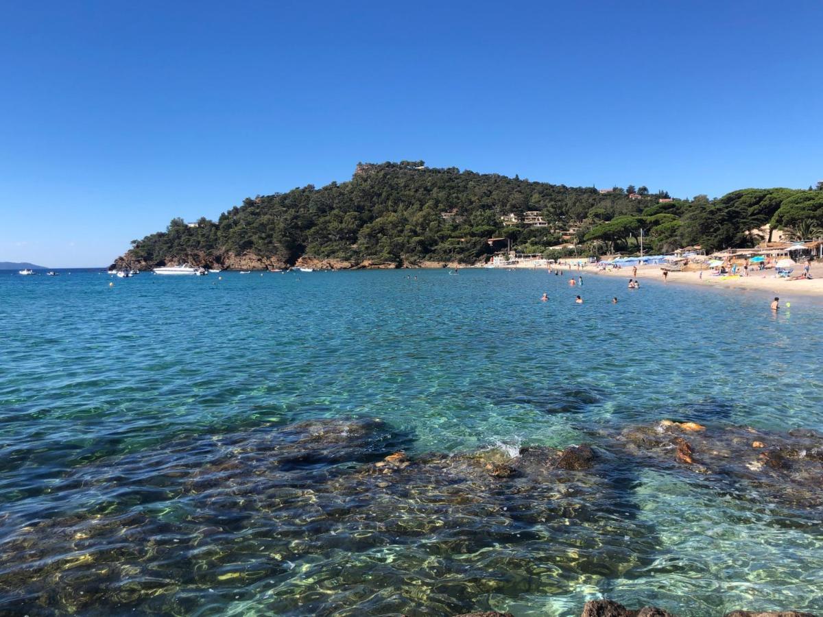 L'Arbousier Bed & Breakfast Rayol-Canadel-sur-Mer Bagian luar foto